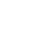 Vikings Logo negative
