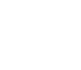 Vikings Logo negative